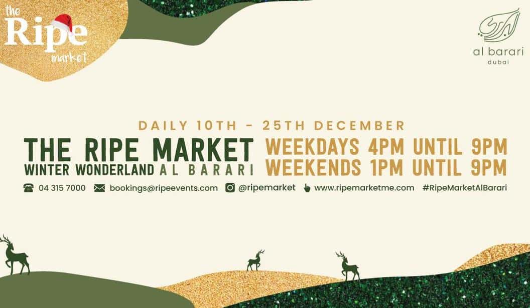 Blog Experience Image