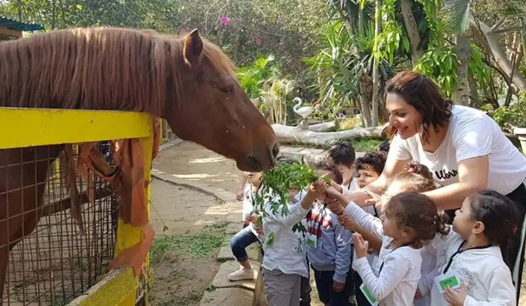 Blog Experience Image