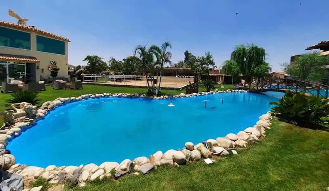 Blog Experience Image