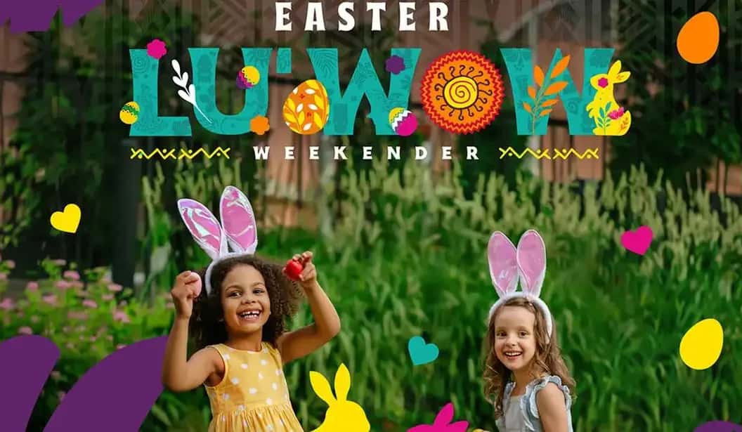 Blog Experience Image