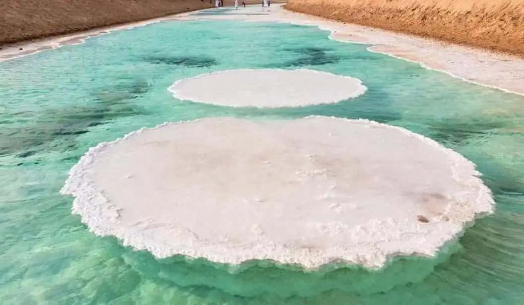 Blog Experience Image