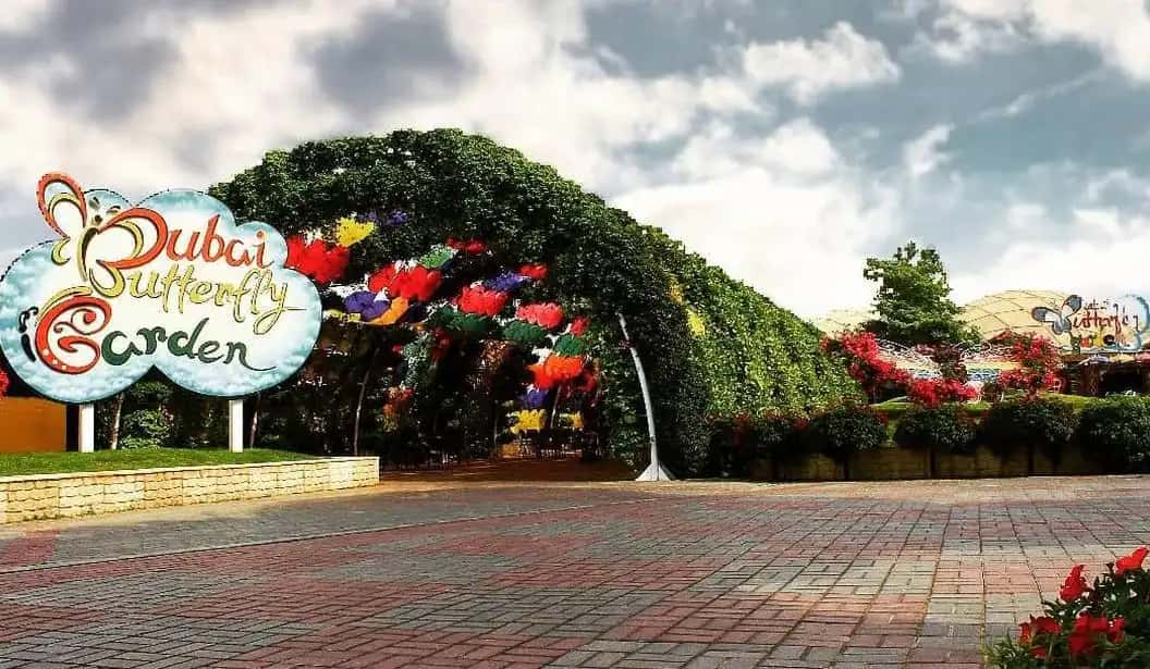 Blog Experience Image