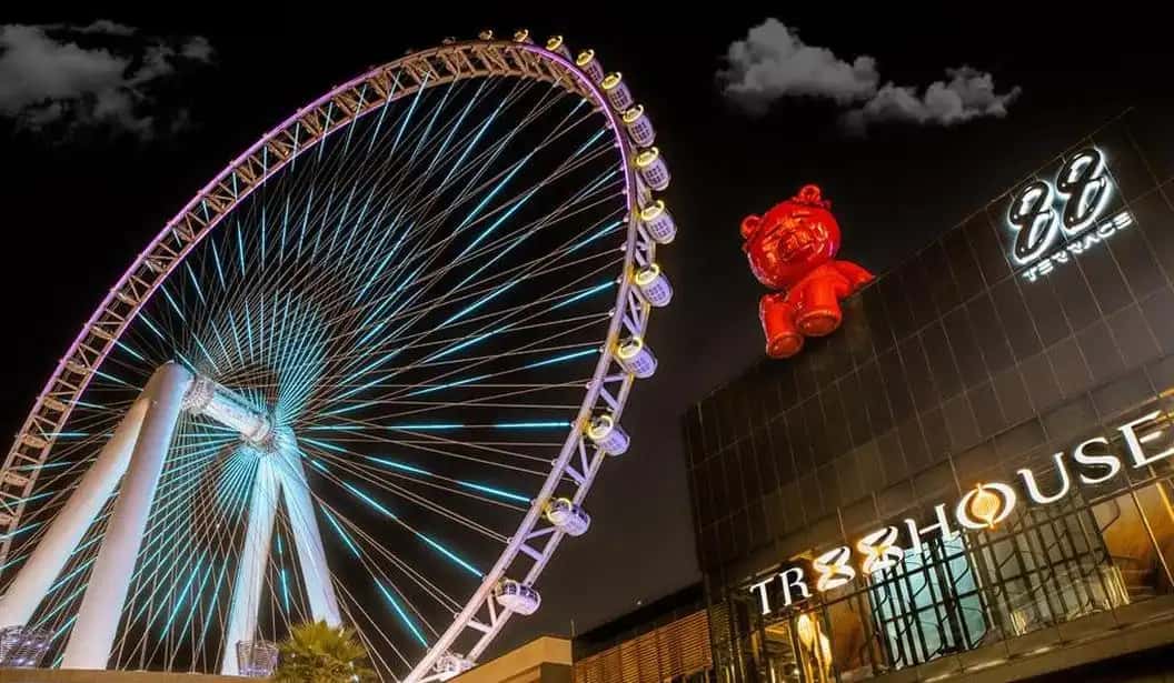 Blog Experience Image