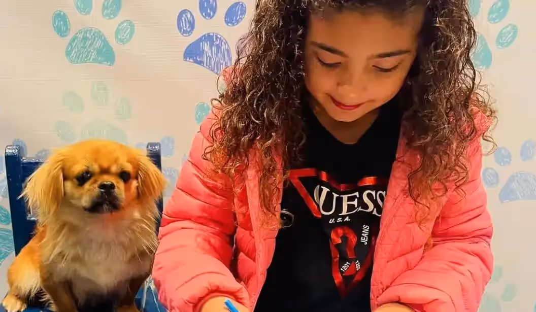 Blog Experience Image