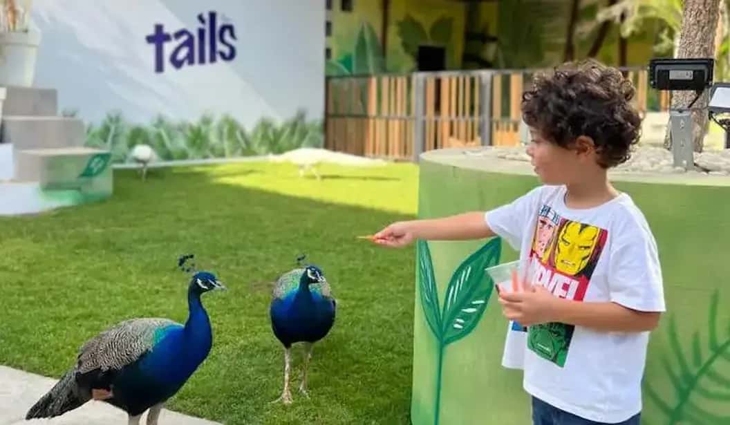 Blog Experience Image