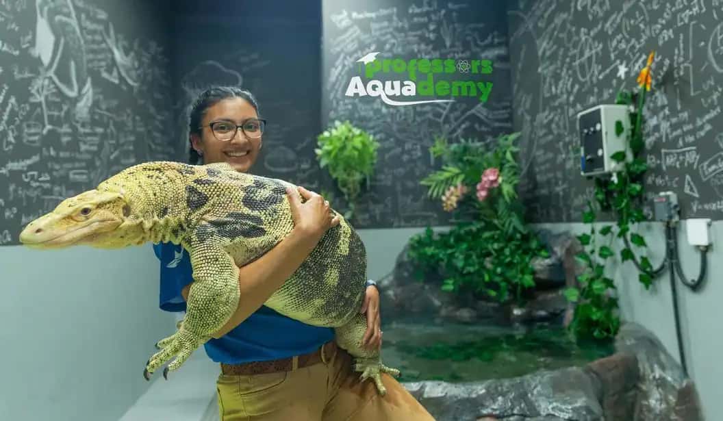 Blog Experience Image