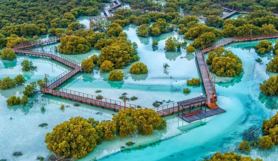 Blog Experience Image