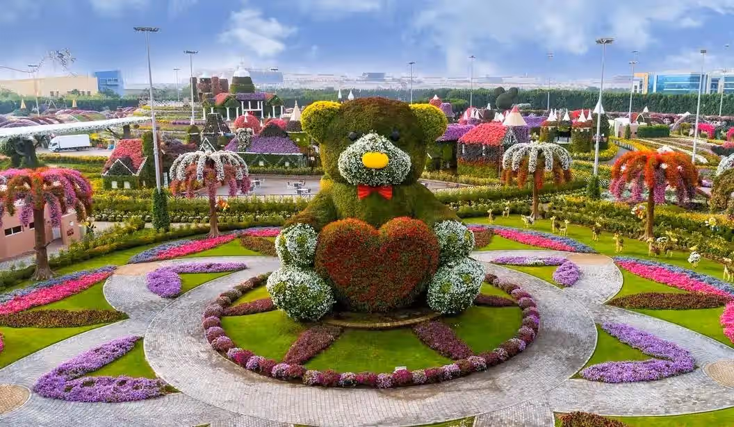 Blog Experience Image