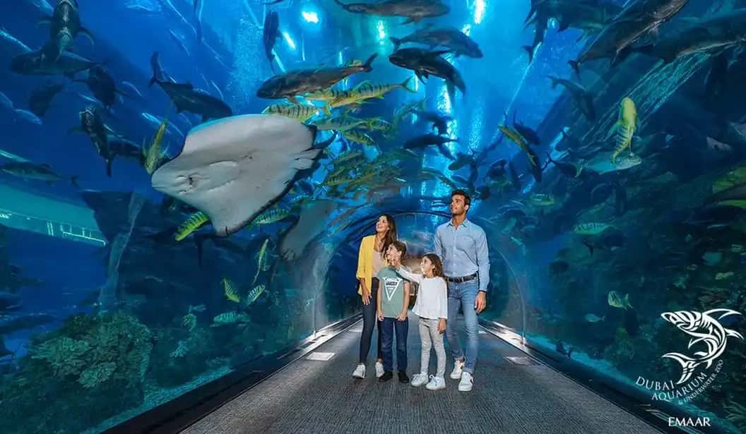 Blog Experience Image