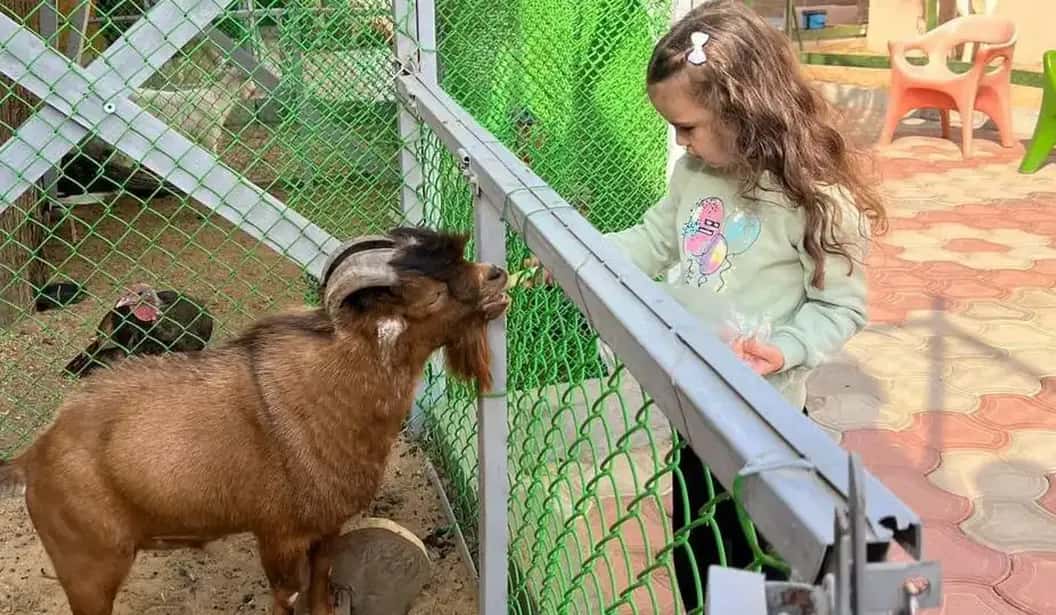 Blog Experience Image