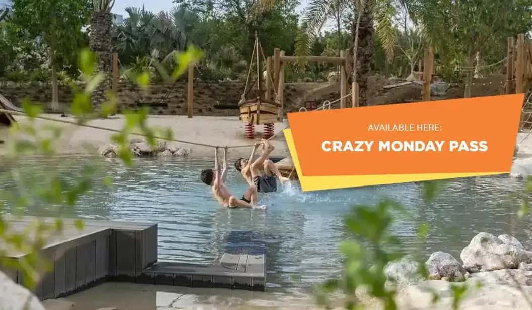 Blog Experience Image