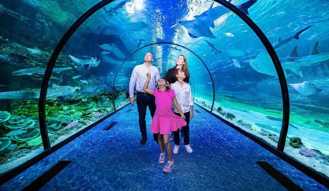 Blog Experience Image