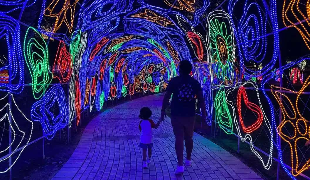 Blog Experience Image