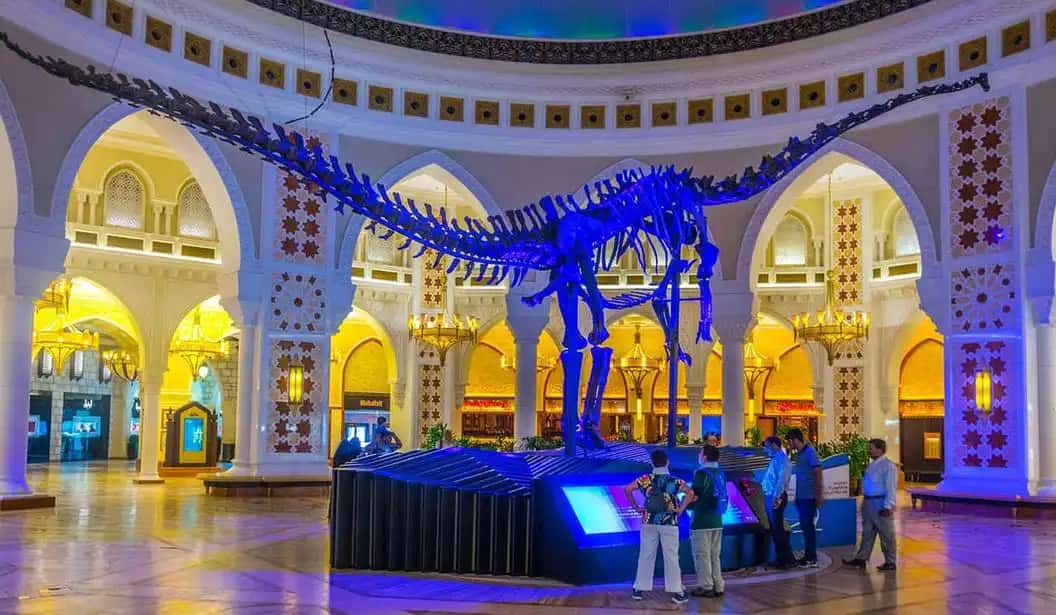 Blog Experience Image