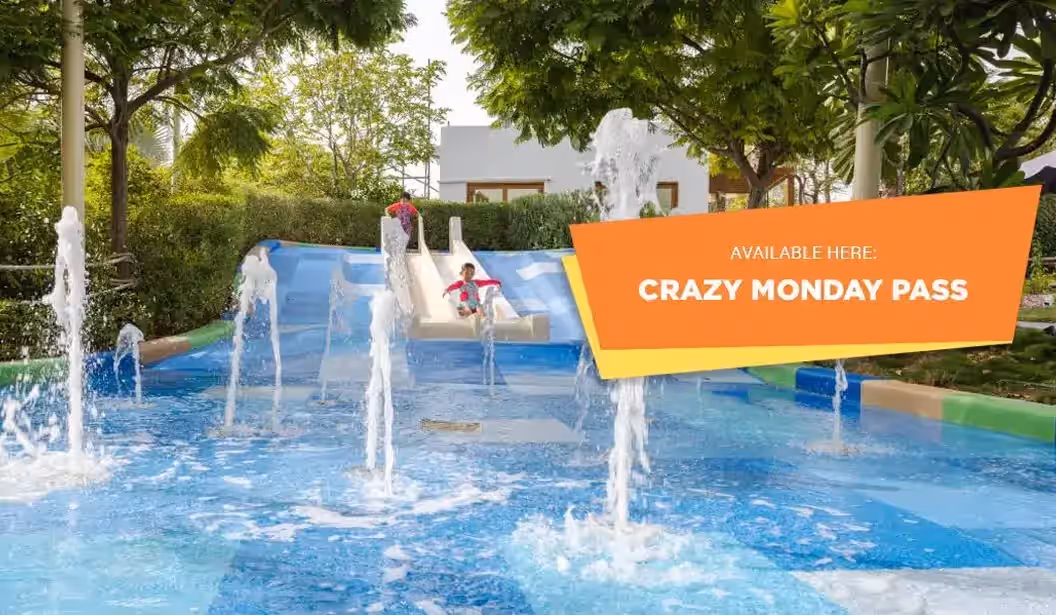 Blog Experience Image