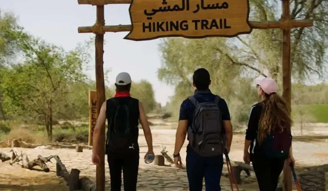 Blog Experience Image