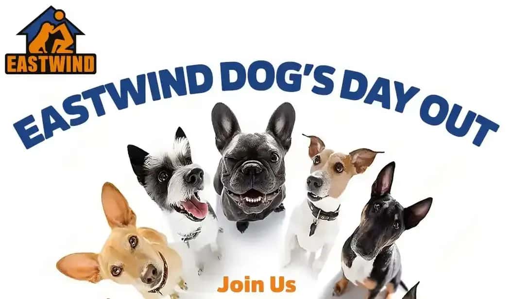 Blog Experience Image