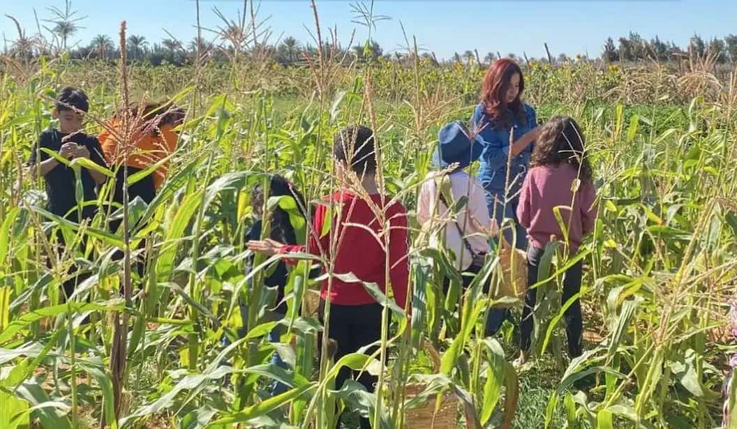 Blog Experience Image