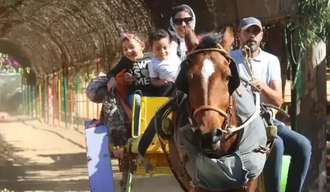 Blog Experience Image