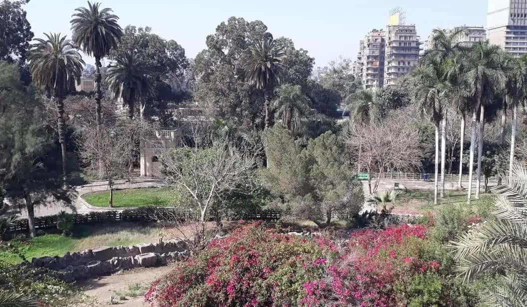 Blog Experience Image