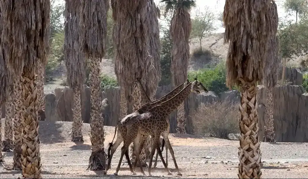 Blog Experience Image