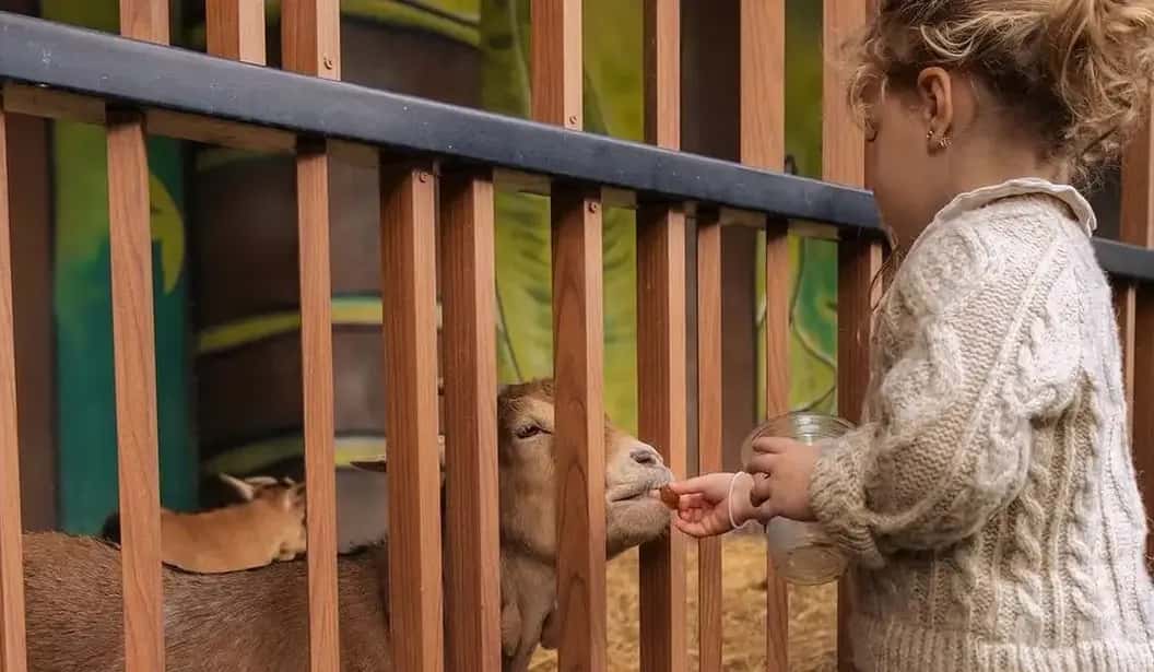 Blog Experience Image