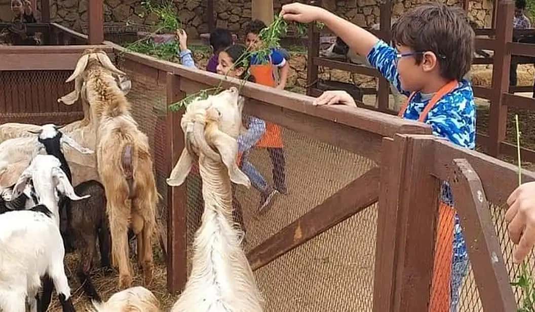 Blog Experience Image