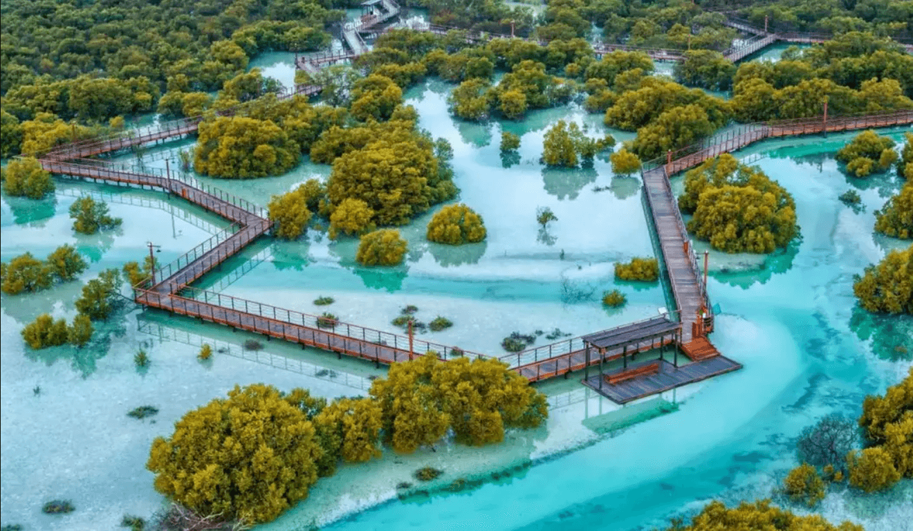 Blog Experience Image