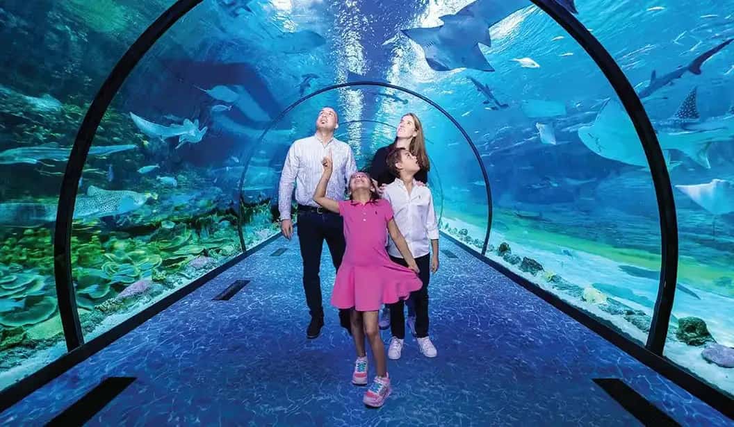 Blog Experience Image