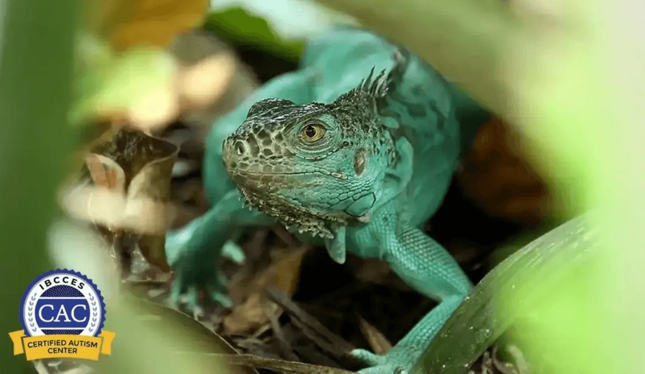 Blog Experience Image