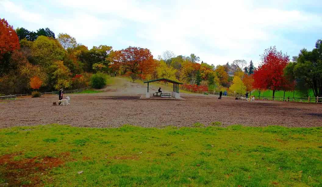 Cedarvale Cedarvale Park