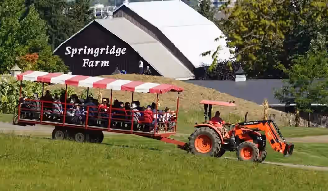 Springridge Springridge Farm Milton - Tickets and Offers 2025