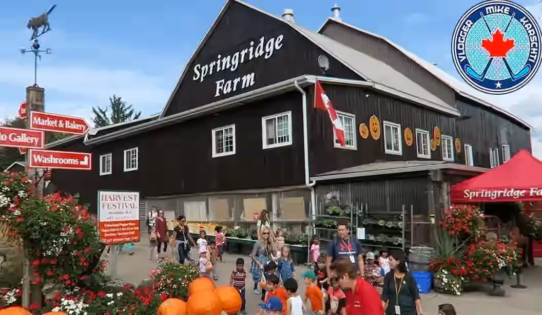 Springridge Springridge Farm Milton - Tickets and Offers 2025